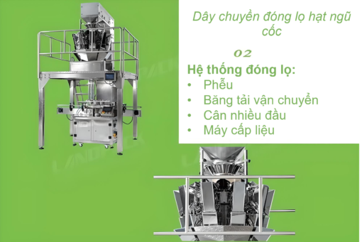 Day_chuyen_dong-lo_cac_loai_hat_tu_dong_3